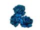 Blue Rose Of Cairo