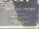 Mr. Theo “Joe” Prowd