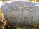  Elmer W Pugh