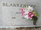 Andrew Jackson “Jack” Blankenship Photo