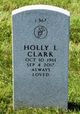 Holly L Clark Photo