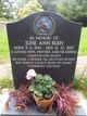  June Ann Rush