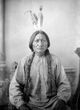 Profile photo:  Sitting Bull