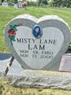  Misty Lane <I>Dispanet</I> Lam