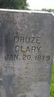  Druza Bean <I>Hinton</I> Clary