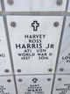 Harvey Ross Harris Jr. Photo