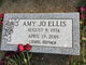  Amy Jo Ellis