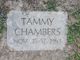 Tammy Chambers Photo