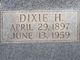 Dixie Hice Land Photo