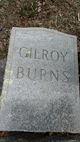  Mary Jane <I>Gilroy</I> Burns