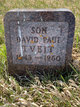  David Paul Tveit