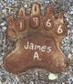 James Aubrey “Bear” Bounds Photo