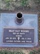 Billy Ray Woods Photo