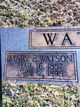  Mary Elvira <I>Harper</I> Watson