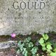 Rev Howard Duff Gould