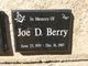  Joe D Berry