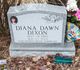 Diana Dawn Dixon Photo