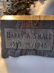  Harry A. Small