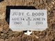 Judy C Dodd Photo