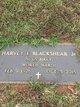  Harvey Earl Blackshear Jr.