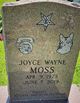 Joyce Wayne Fountain Moss Photo