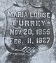 Maria Louise <I>Chambers</I> Currey