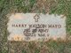Harry Watson Mayo Photo