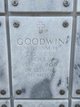 William Howard Goodwin