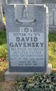  David Gavensky