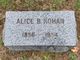  Alice B Rohan