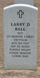 Larry David Ball Photo