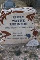  Ricky Wayne Robinson
