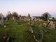 Castlerahan Graveyard