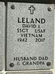  David Lawrence Leland