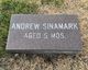  Andrew Sinamark