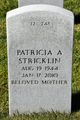 Patricia A Stricklin Photo