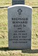 Reginald Bernard Ellis Sr. Photo
