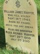  William James Harper
