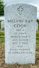 SGT Melvin Ray Cook Photo