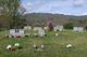 Bailey Family Cemetery