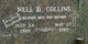  Nell D “Nellie” <I>D'Angelo</I> Collins