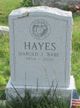 Harold J. “Babe” Hayes Photo