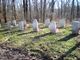 Mississinewa Battlefield Cemetery