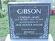 Gordon James Gibson