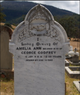  Amelia Ann Godfrey
