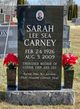 Sarah Lee Sea Carney Photo