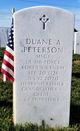 MSGT Duane Alfred Peterson Photo