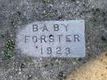  Baby Forster