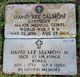 Dr David Lee “Tommy” Salmon Jr. Photo