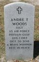 Andre Todd Woods Photo